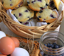 Home-made blueberry muffins