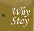 Our blog